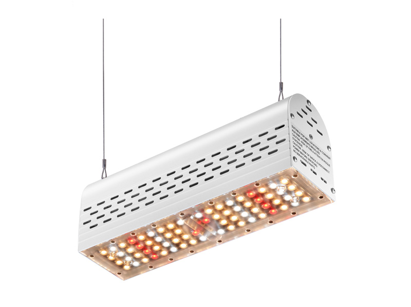 Linear LED Grow Light 50W