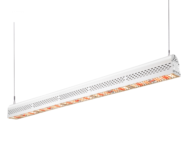Linear LED Grow Light 260W /300W